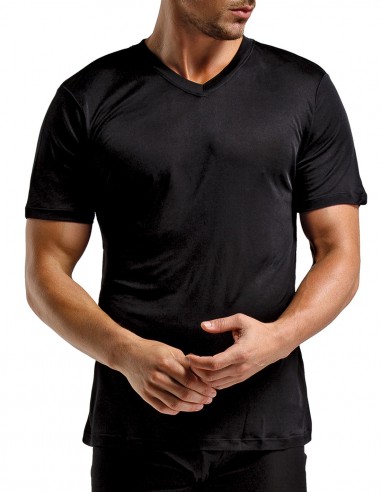 Zijden Heren T-Shirt V-Hals inSilk